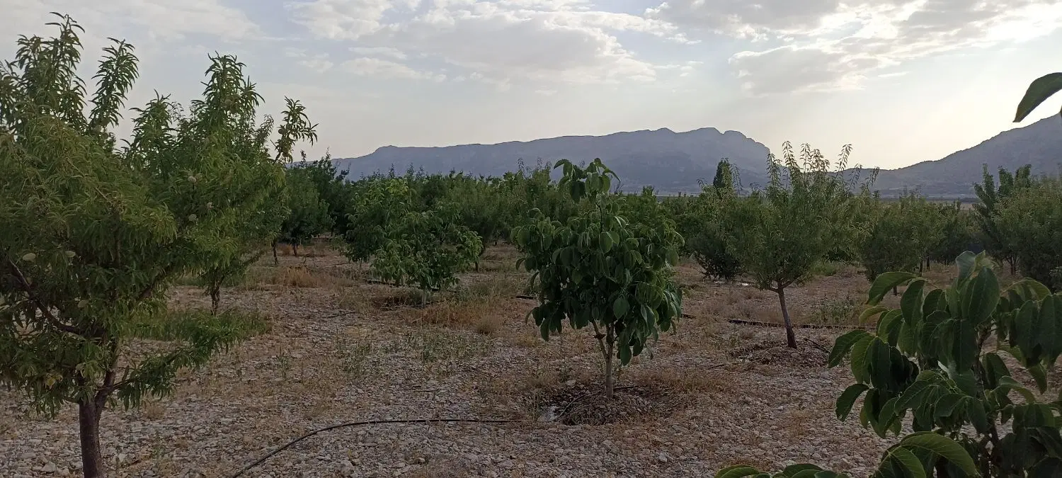فروش باغ باغچه و زمین
