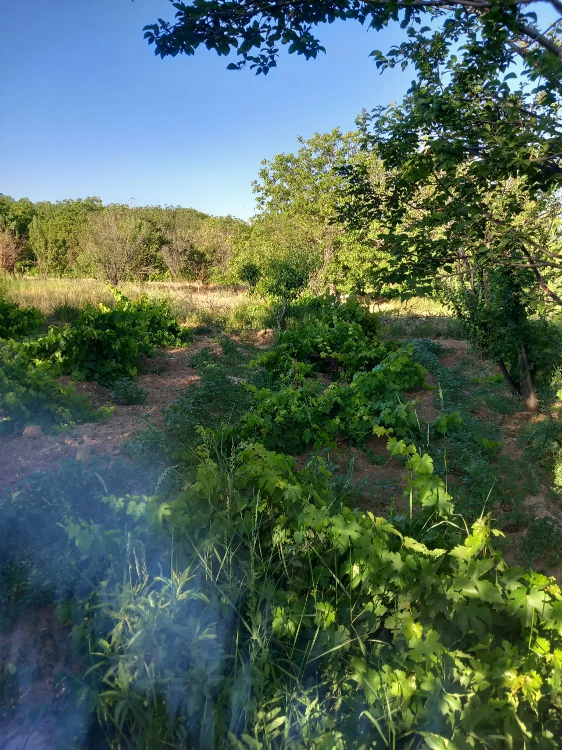 باغ تفریحی روستای کاکلک(کاکولک)دوجریب ،چهارساعت آب