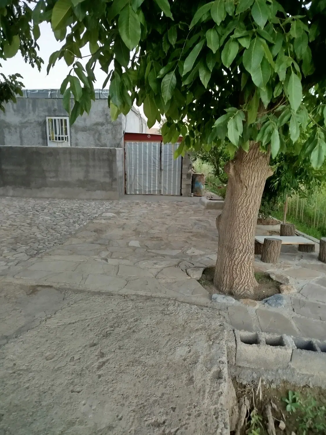 زمین کشاورزی باباریز