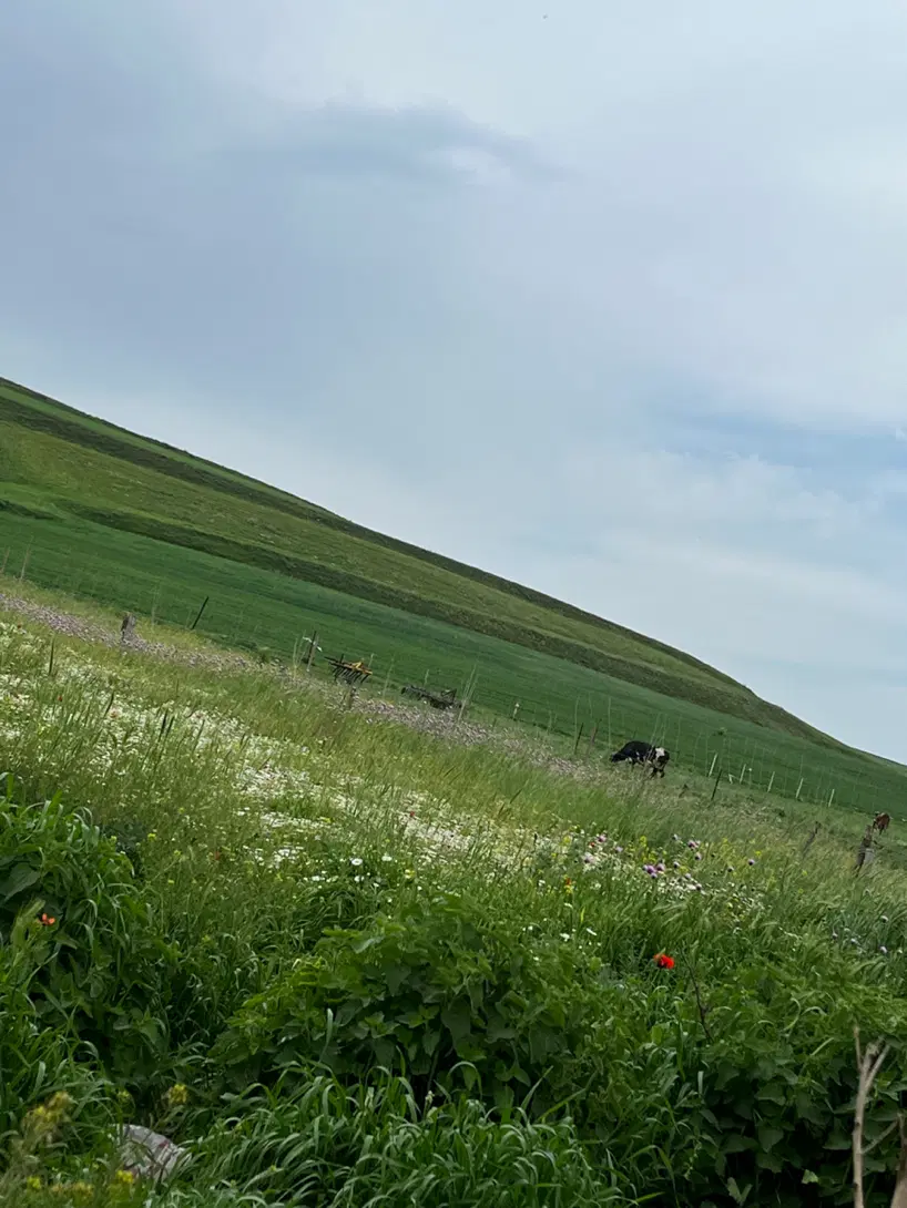 ۷۵ متر زمین سوم غربی