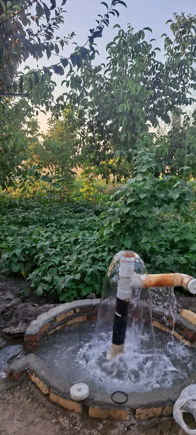 باغ و باغچه