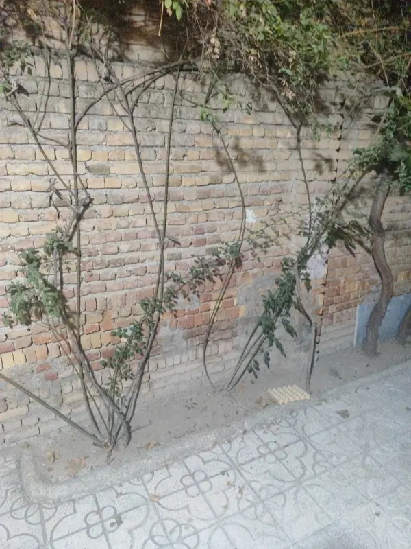 زمین 210 متری در شهرک پردیس