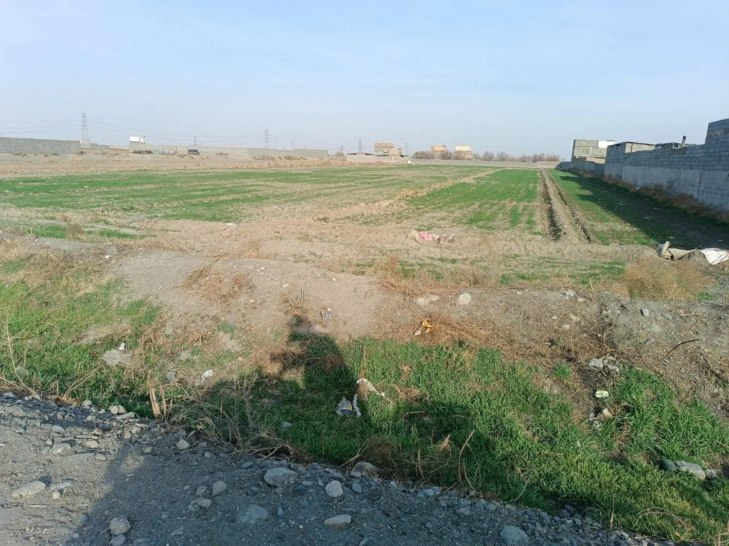 زمین باغی و دامداری