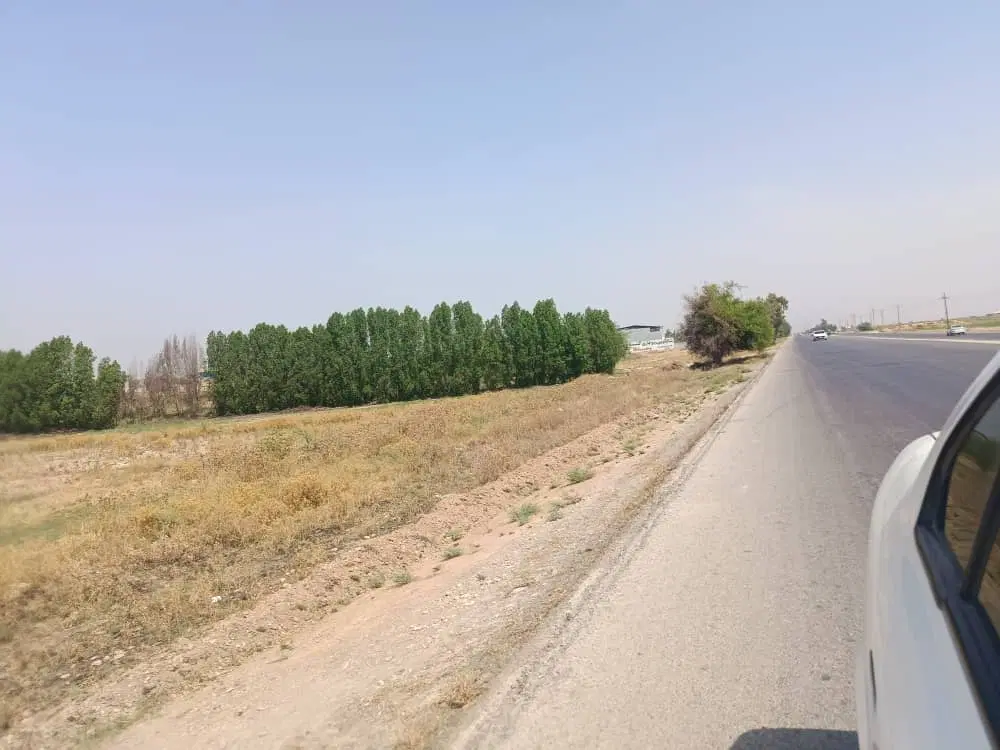 باغ نخل و مرکبات