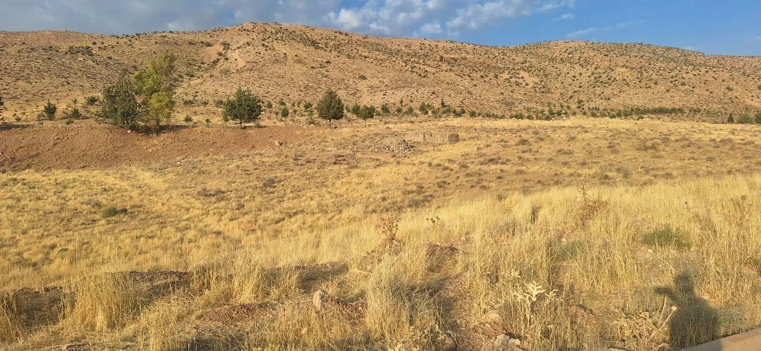 زمین قصر سبز منابع طبیعی