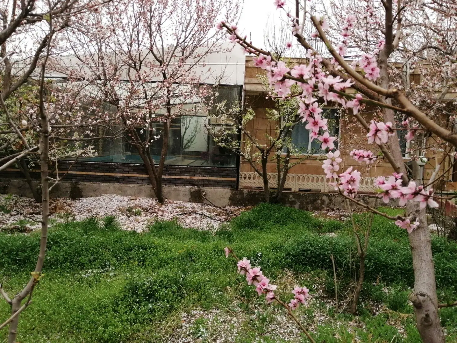 اجاره باغ ویلا استخر آبگرم سرپوشیده(روباز)