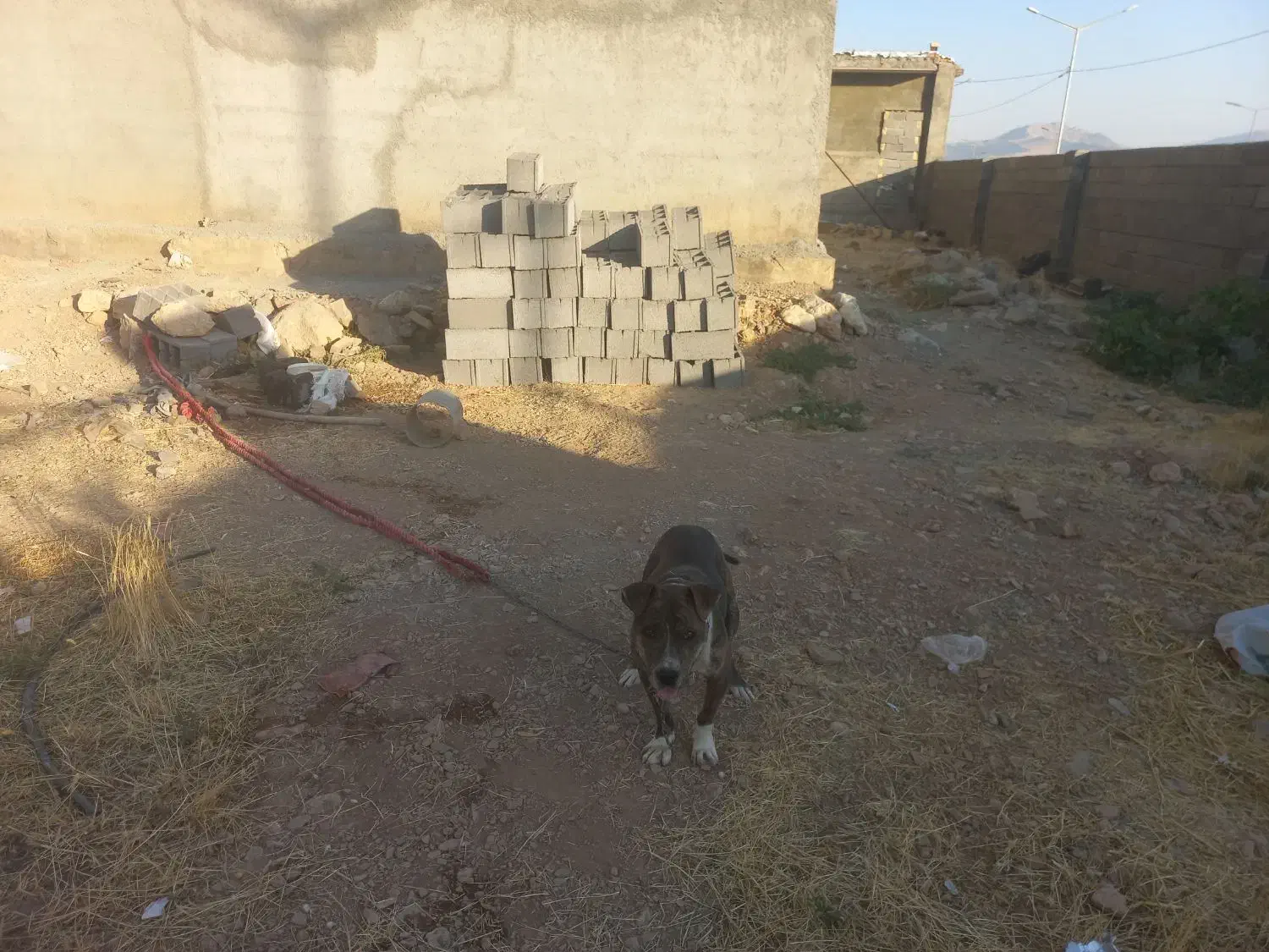 سوله در شهرک صنعتی آب باریک