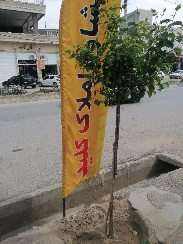 زمین مسکونی خیابان نیایش