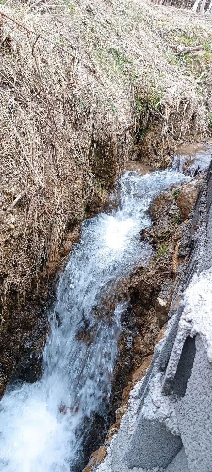 فروش باغ محصور شده در دلسم حدودا ۳۵۰متر