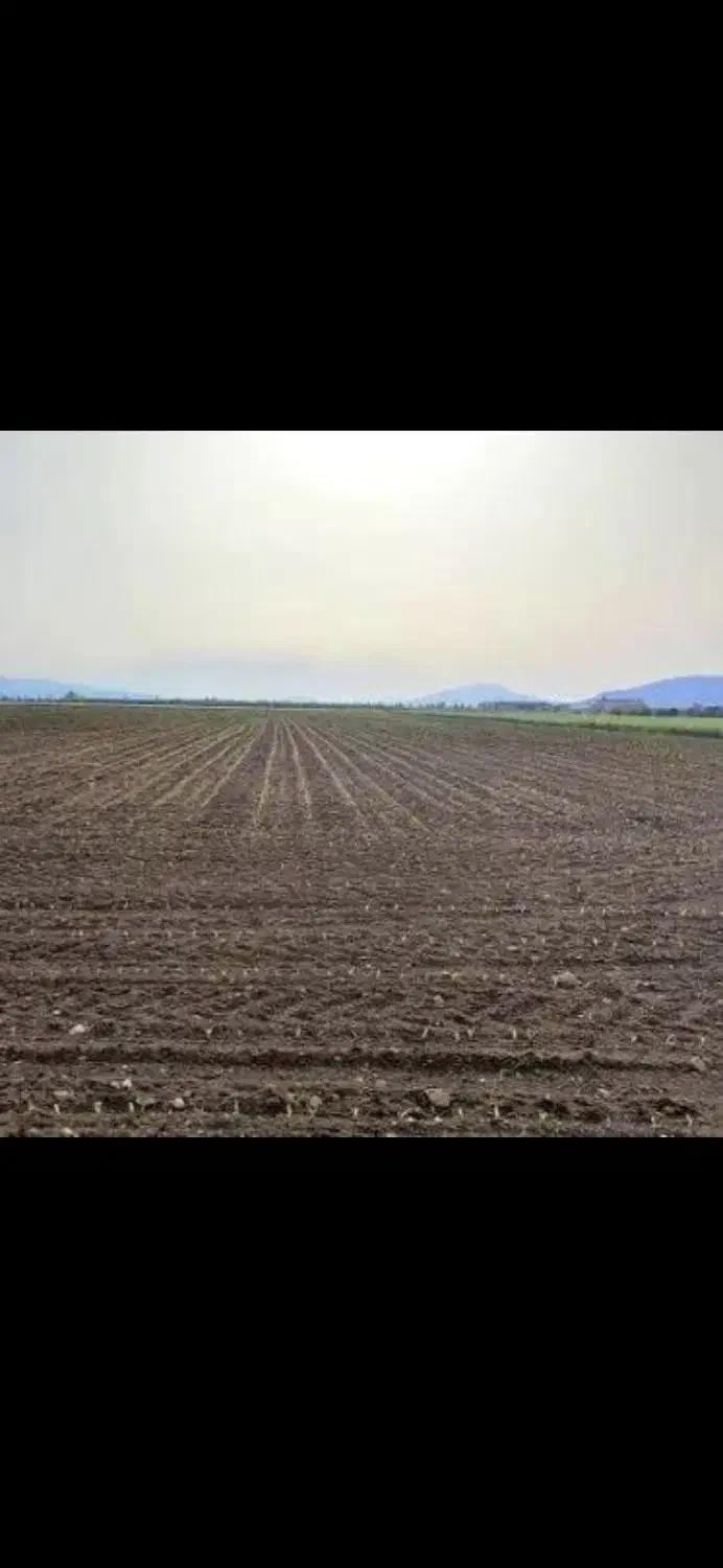 زمین کشاورزی