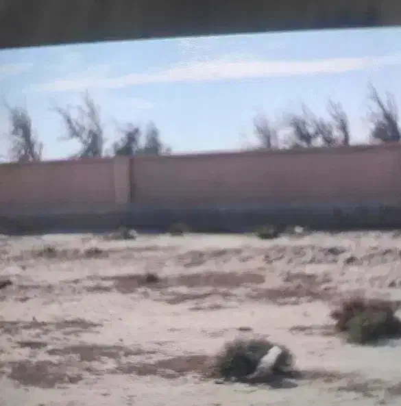 زمین دوکله دانشگاه