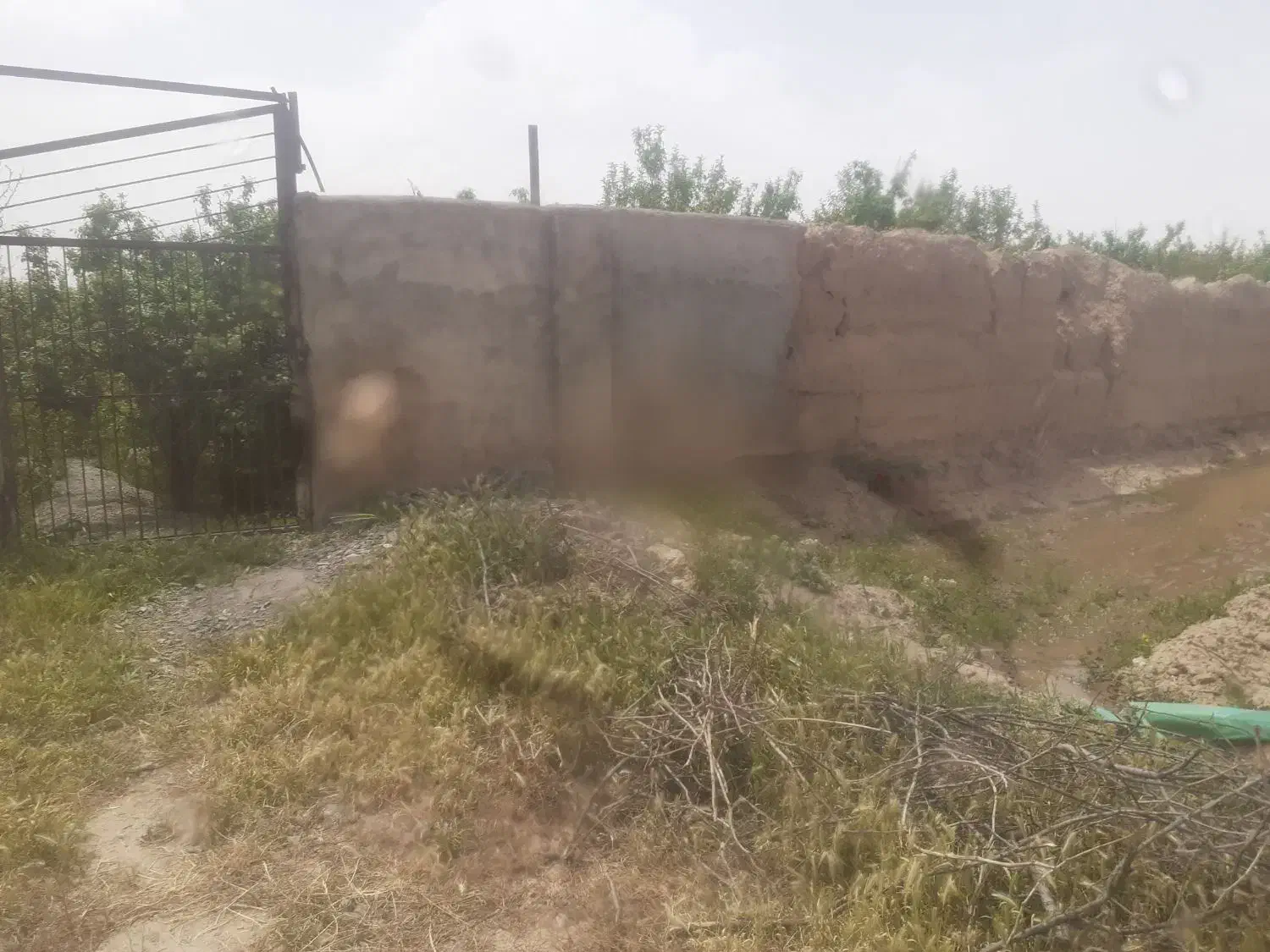 زمین مناسب باغ ویلا