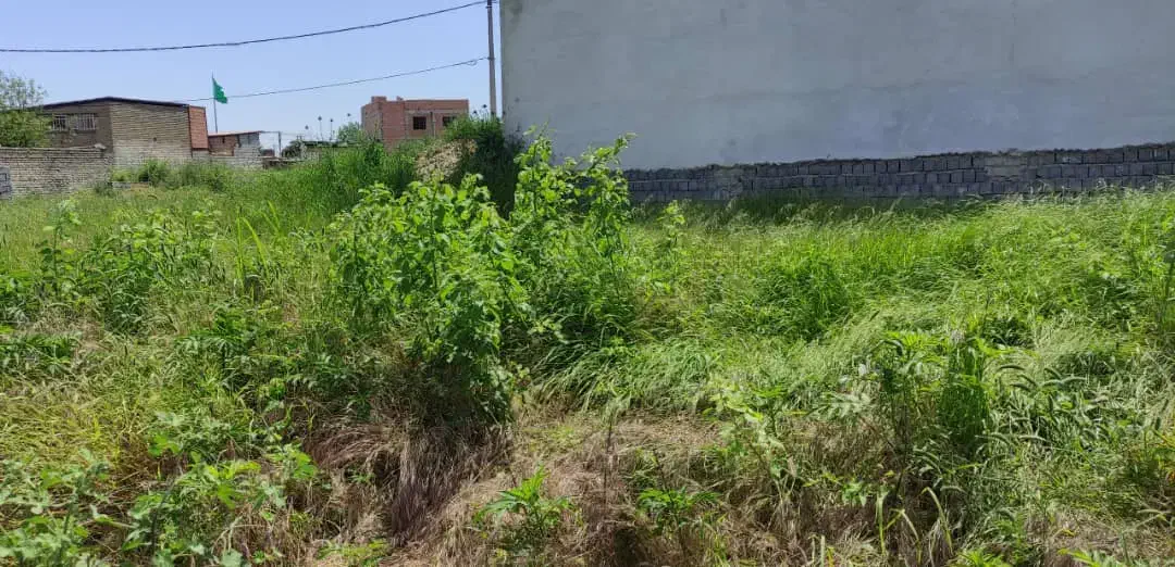 ۳۴۲ متر زمین واقع درطالب اباد