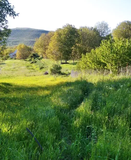 فروش زمین مسکونی دردیلمان روستای لیه