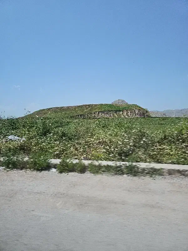 زمین تجاری
