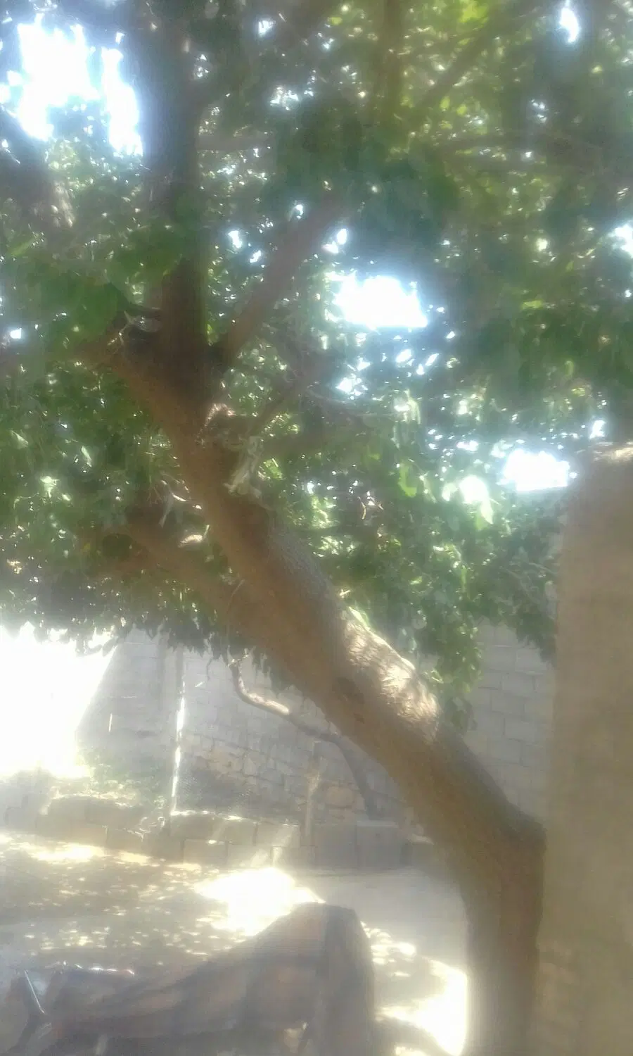 اجاره انبار80_90متری