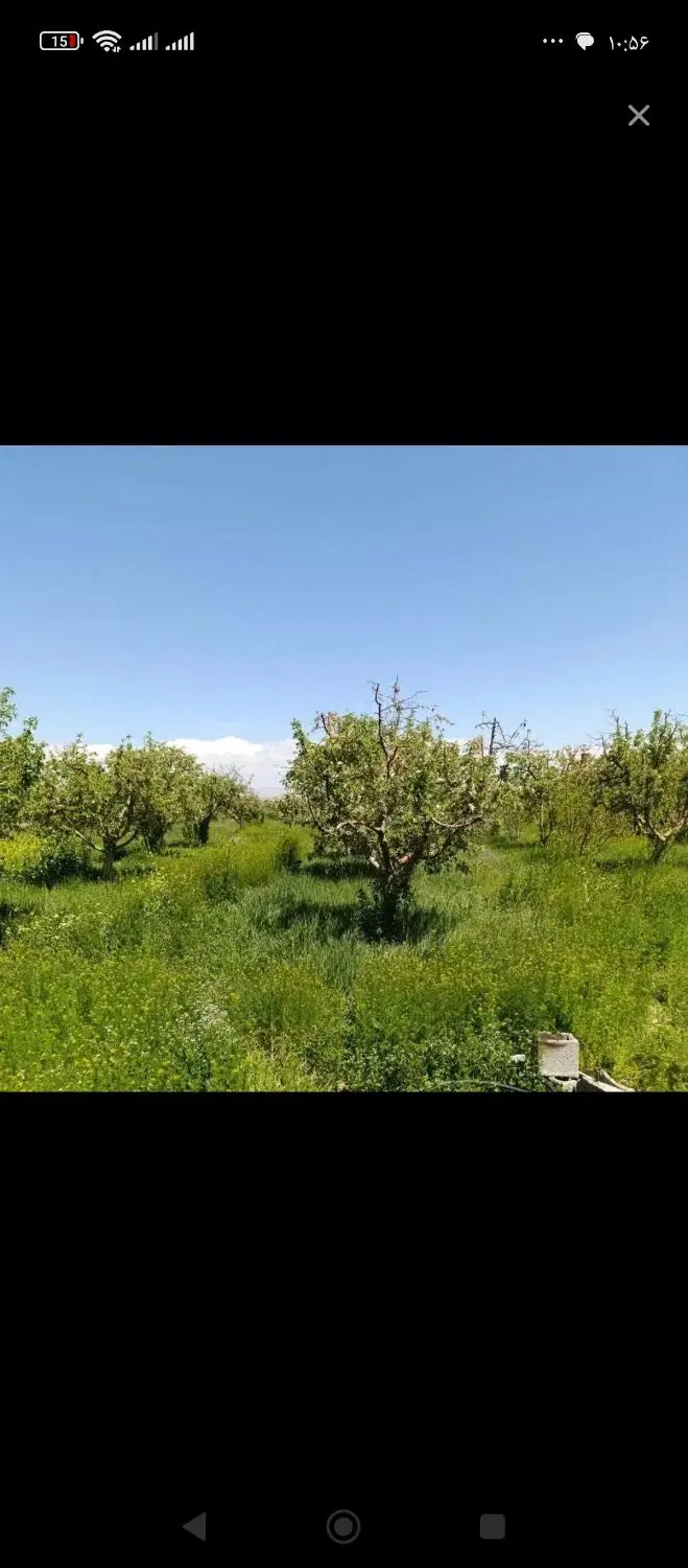 چاهشک باغبان28