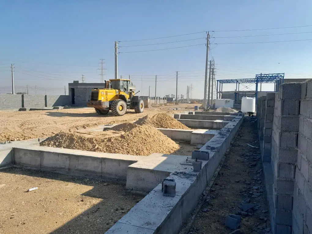 سرمایه گذار  و مشارکت