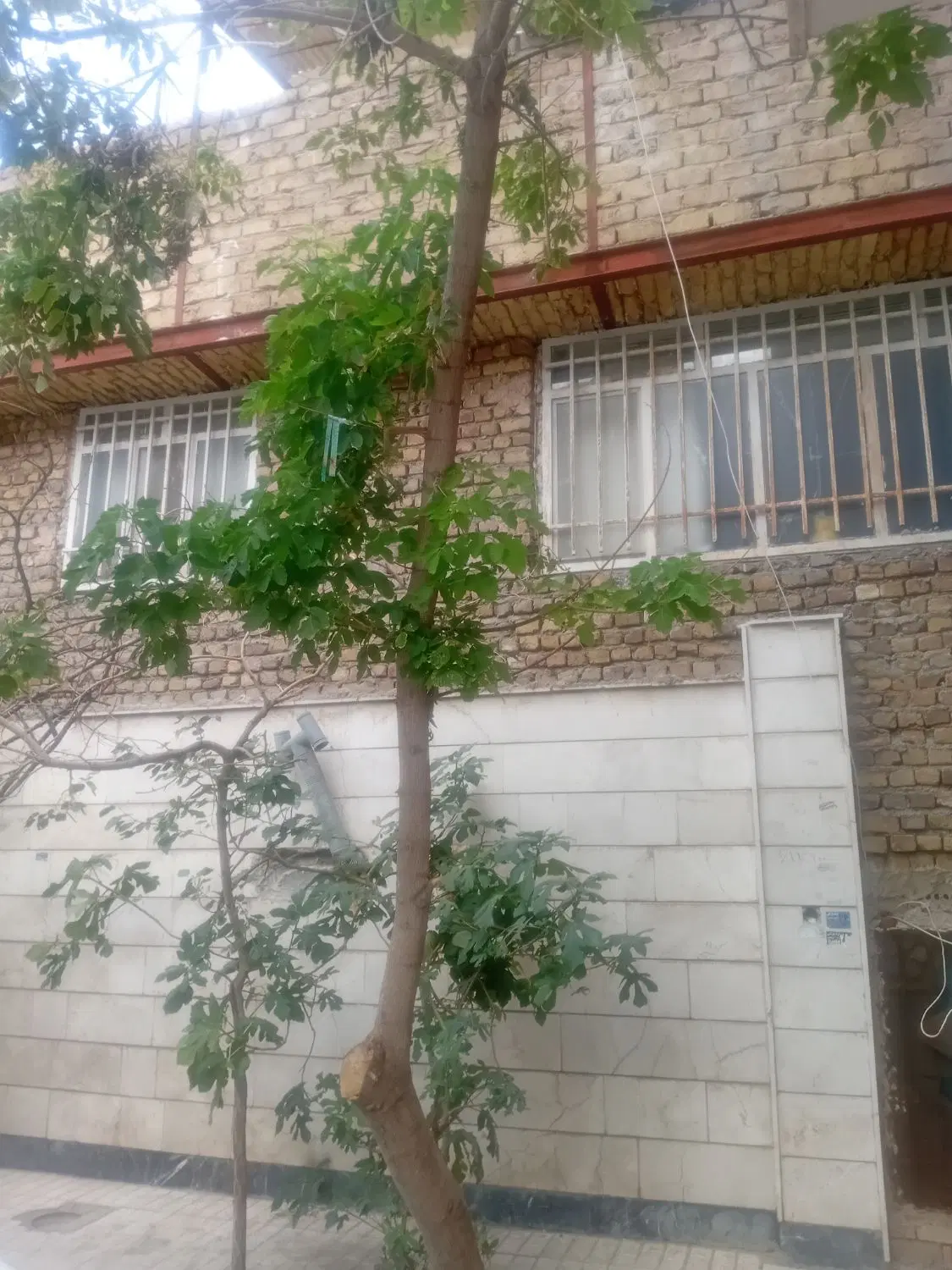 آپارتمان رهن واجاره
