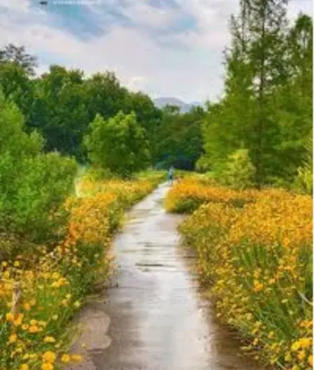 زمین مسکونی داخل بافت در روستای پایین کوه