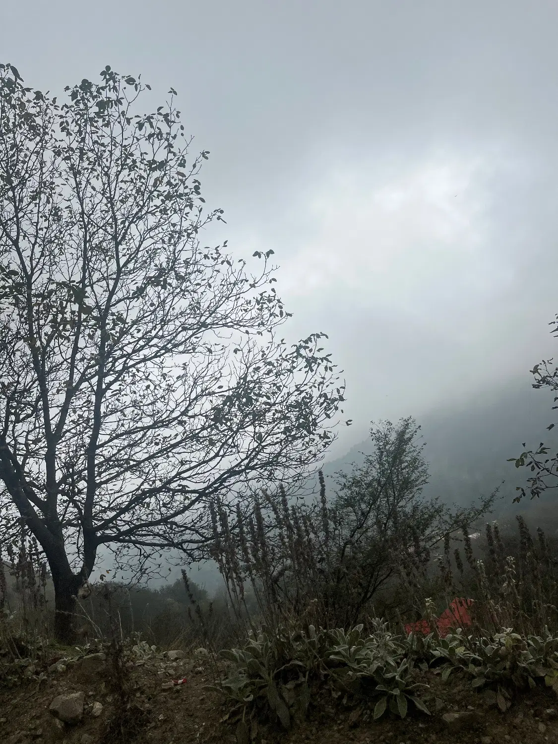 زمین کاربری کشاورزی خونه باغی