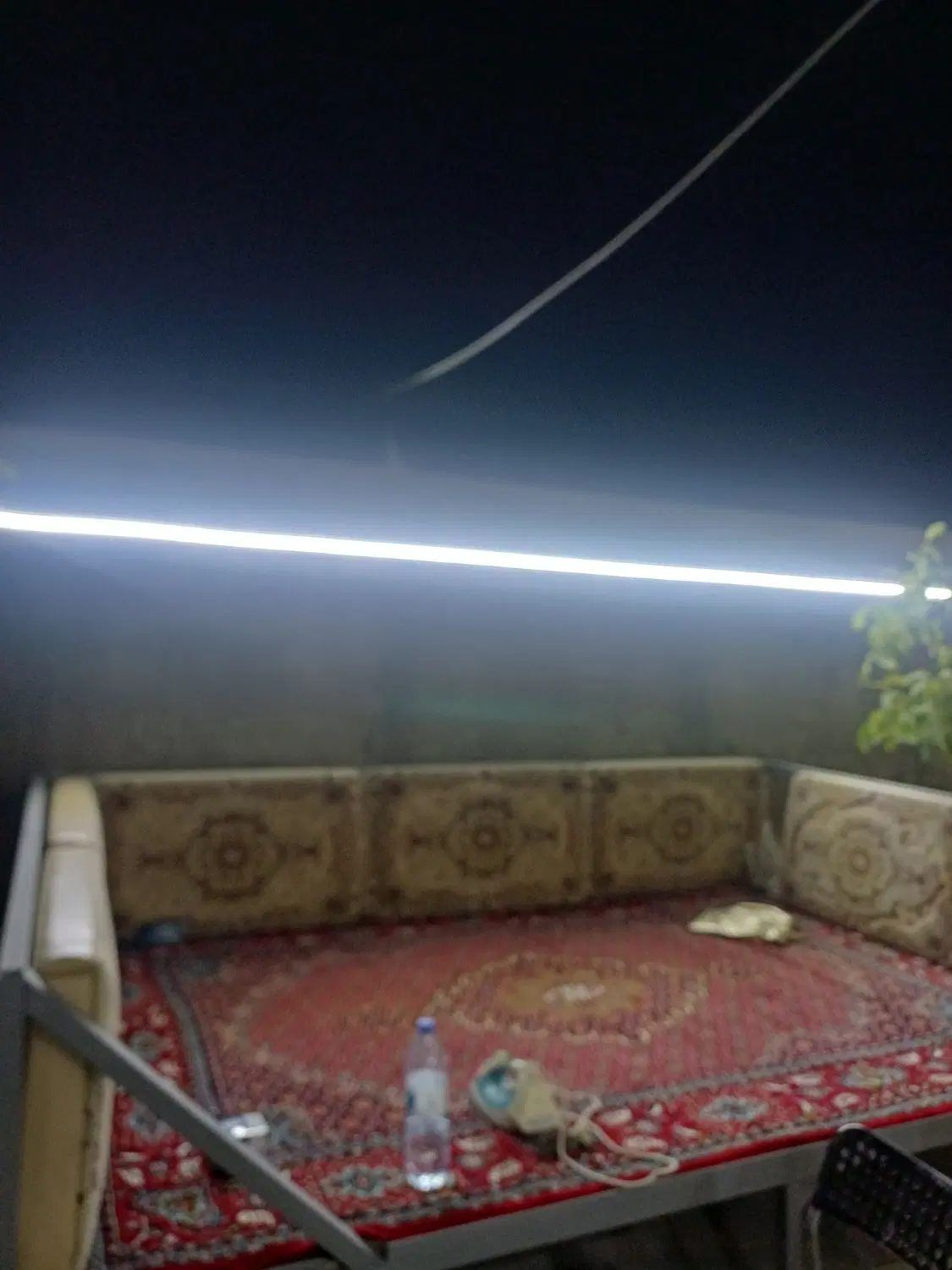 باغ سرنجیانه