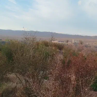 فروش باغ