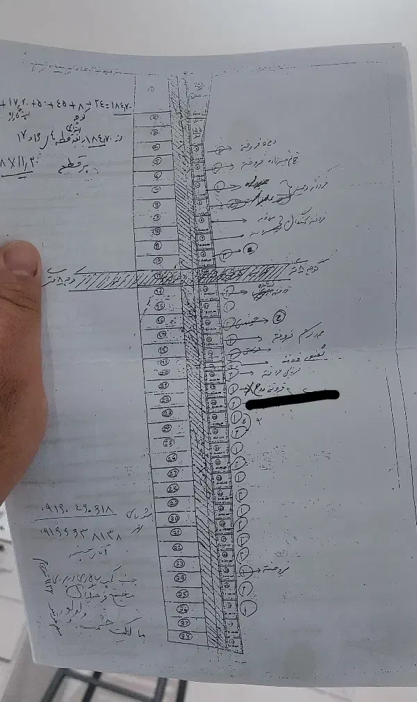 زمین پاپی خالدار