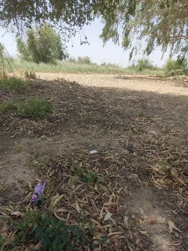 زمین مسکونی شهرحر زمین های حاج خشان