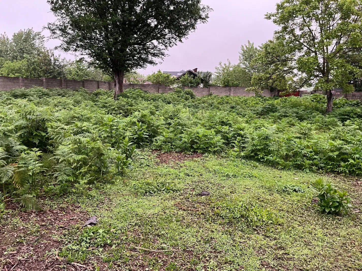 زمین روستایی