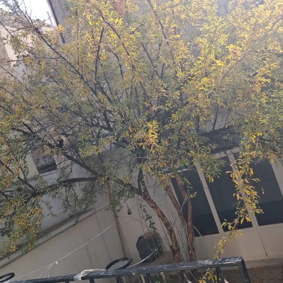 ۱۳۰ متر ملک دربستی رهن کامل