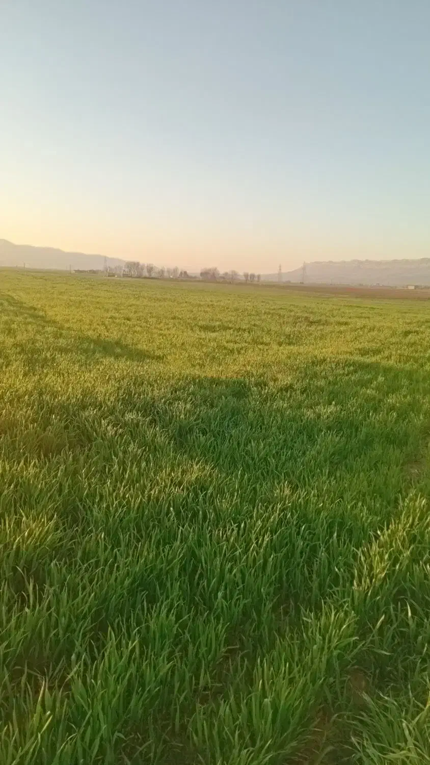 زمین ابباریکی
