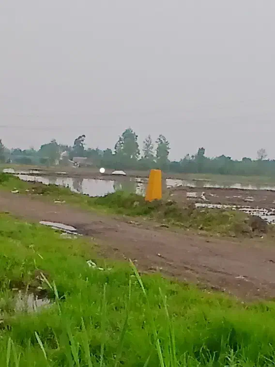 بیجار سنتی