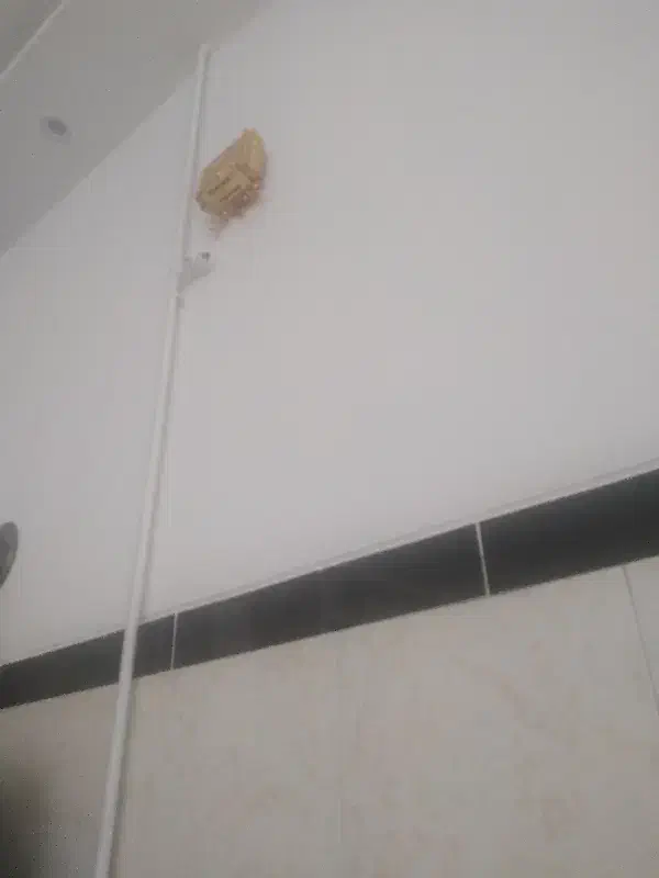 مغازه