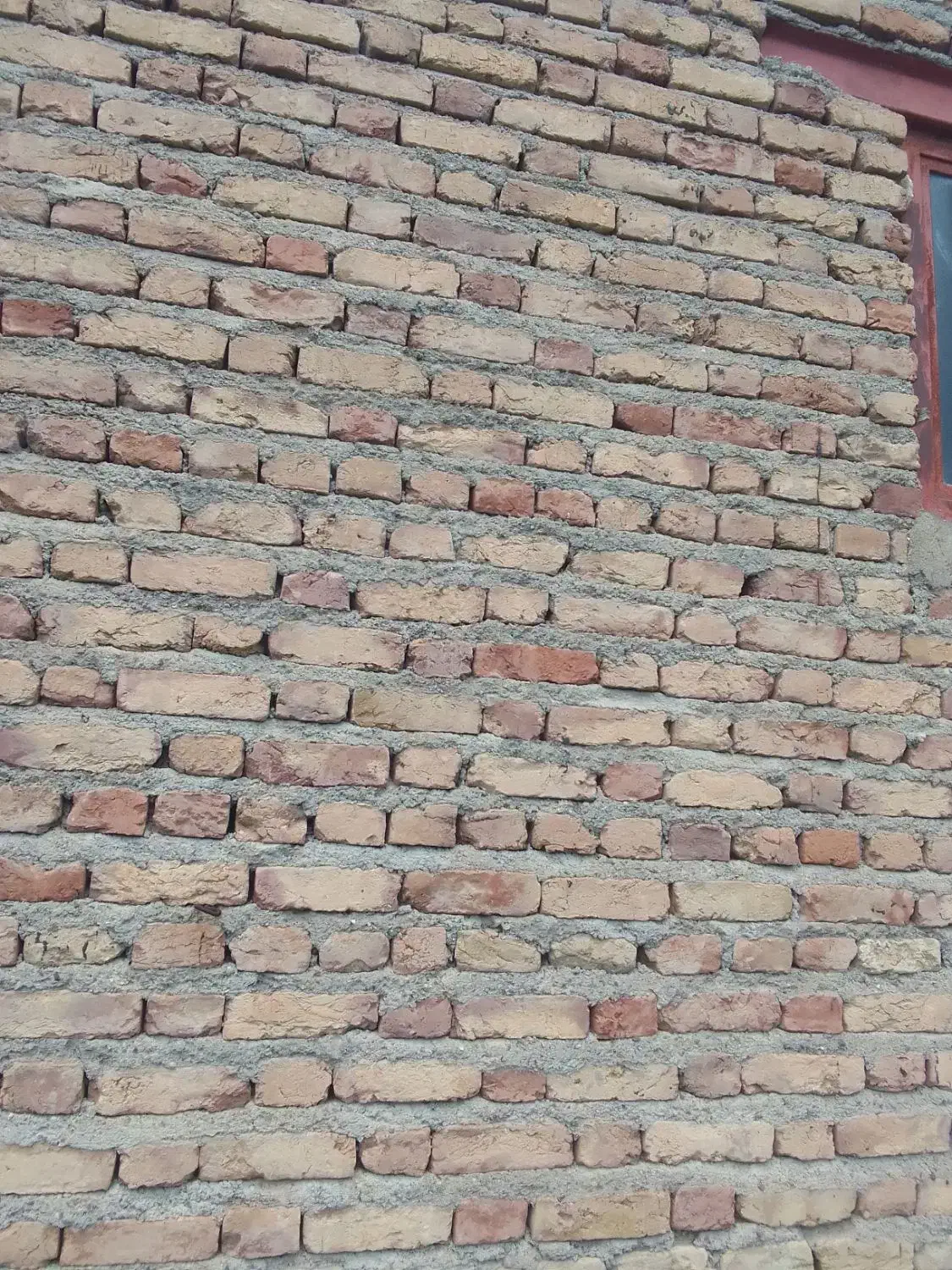 گاوداری