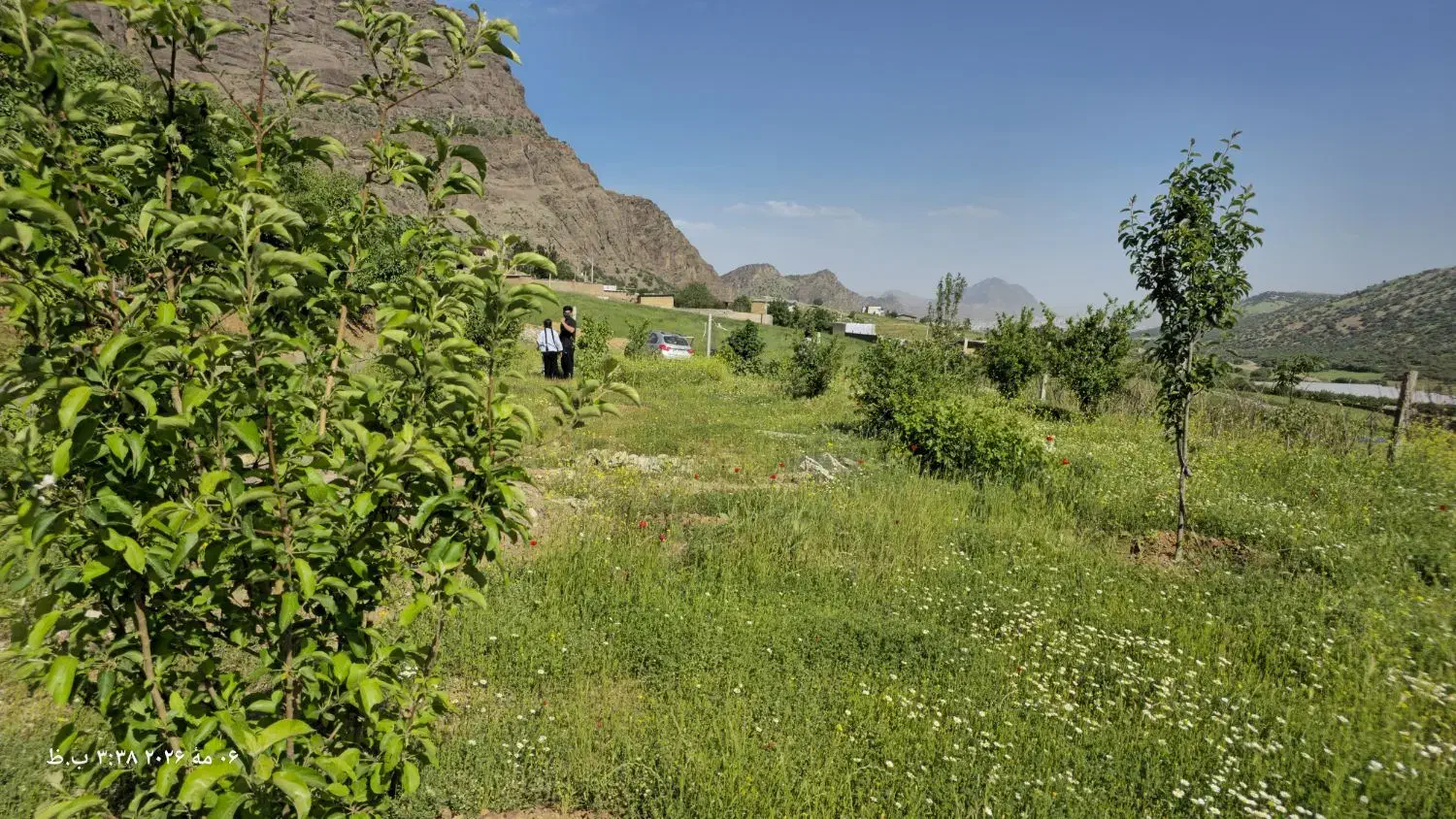 باغچه ۵۰۸ متری سنددار در باغ دایی علیا