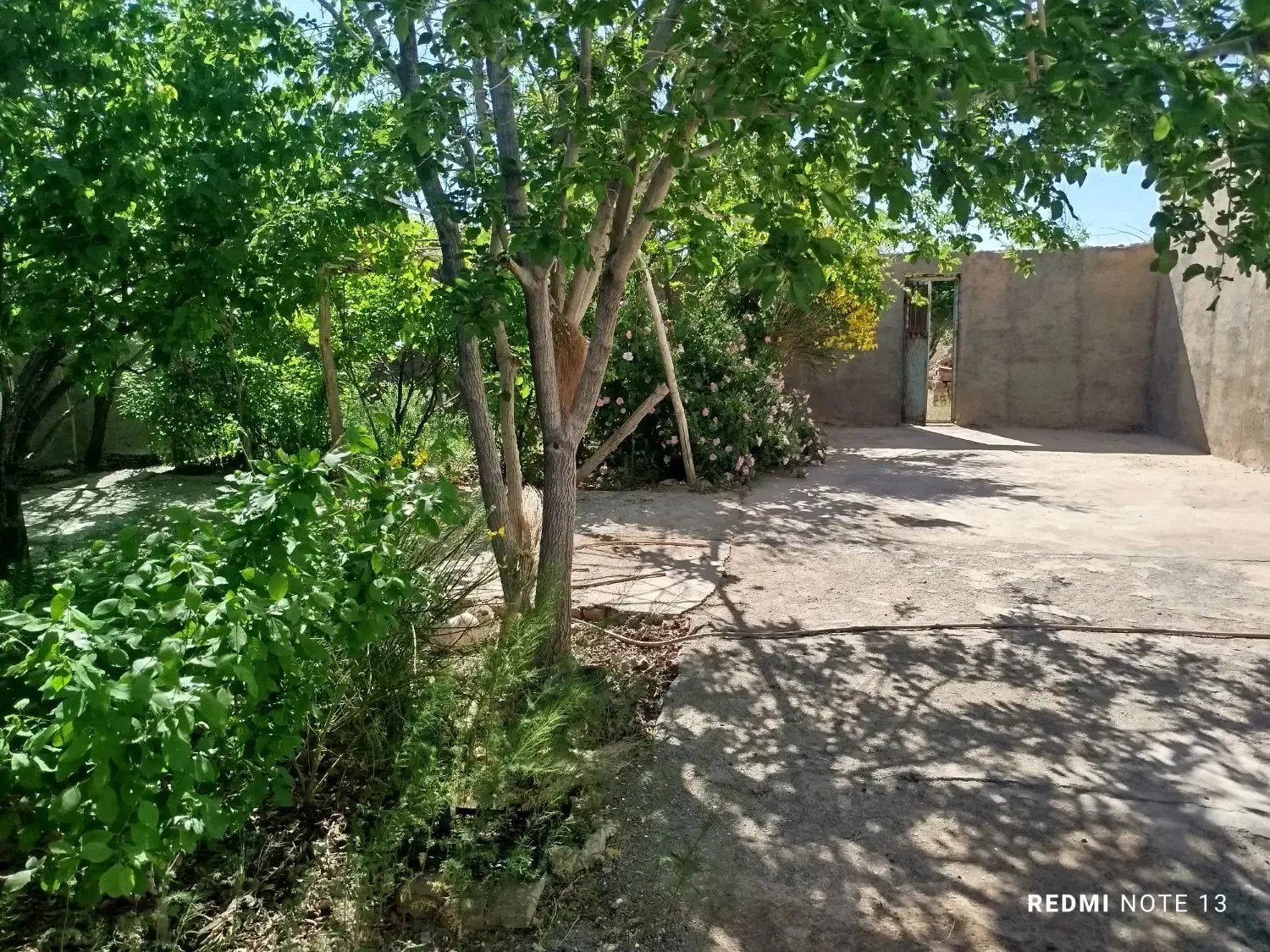باغ منزل