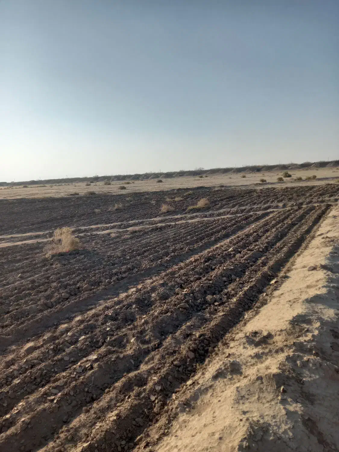 فروش زمین
