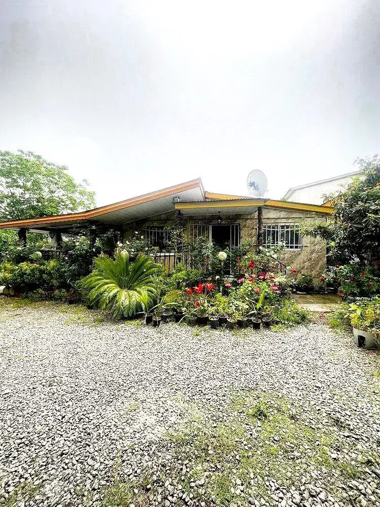 ویلا باغ فلت، سند، کنتور،ویوی جنگلی