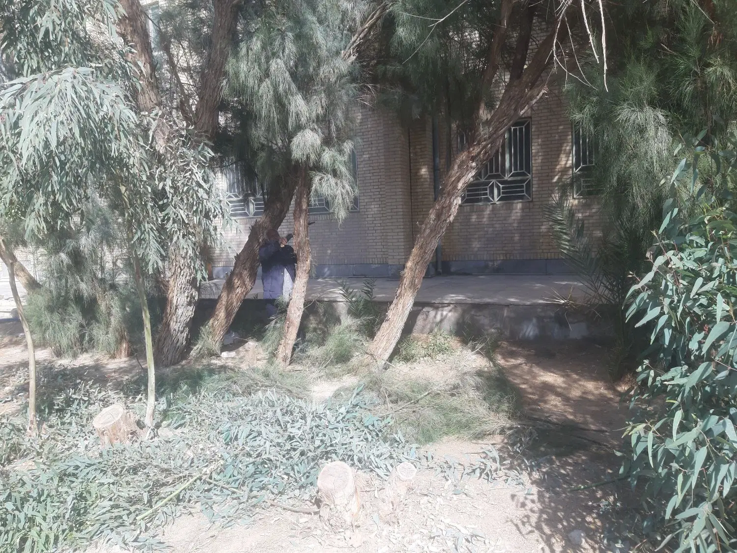 فروش زمین خودبچر