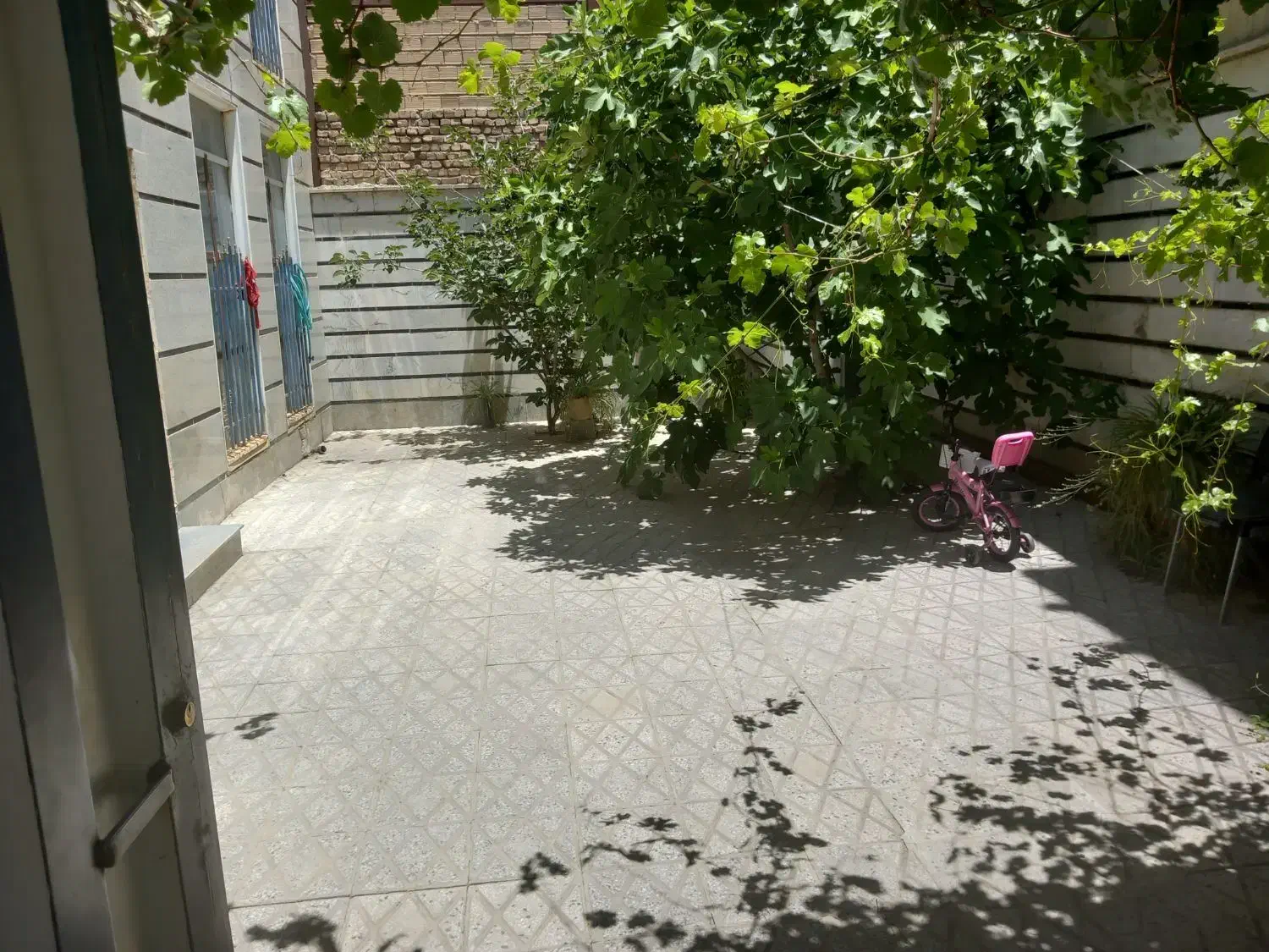 واحد۷۵متری سیدمصطفی