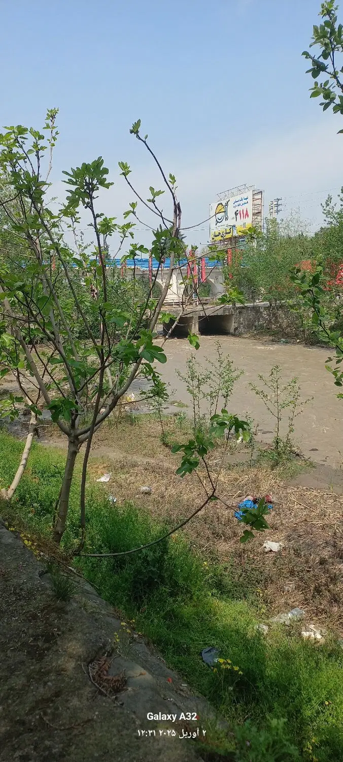 زمین مسکونی