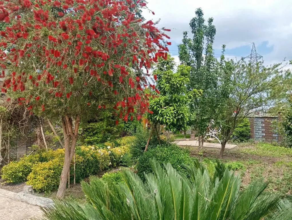 باغ ویلا استخردار