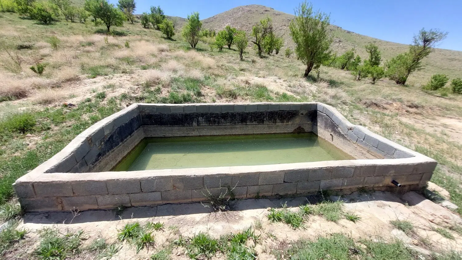 فروش باغ در دره‌خیر