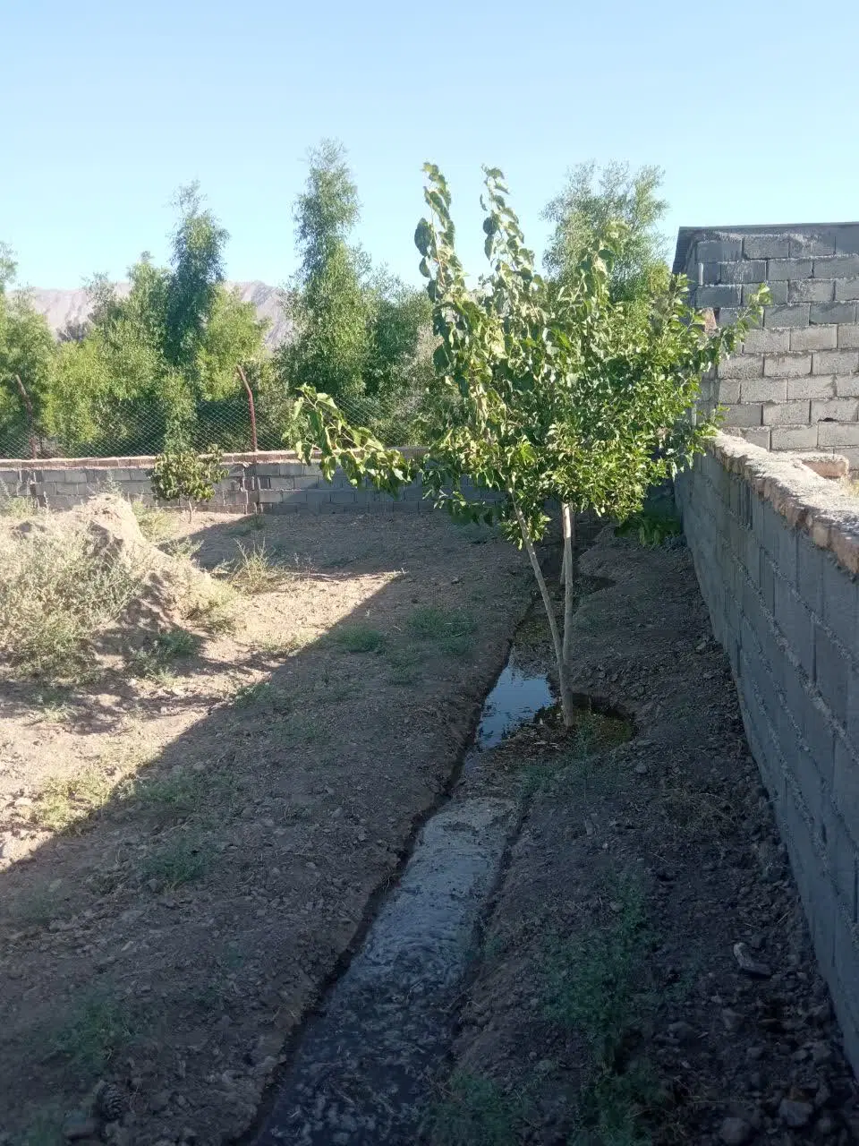 باغ ویلا حسین آباد سادات بالای جاده