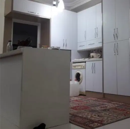 خونه دارم ، همخونه میخام
