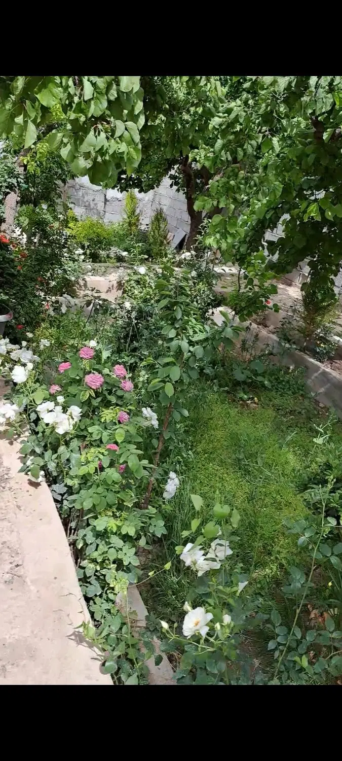 فروش باغ و تهاتر با واحد