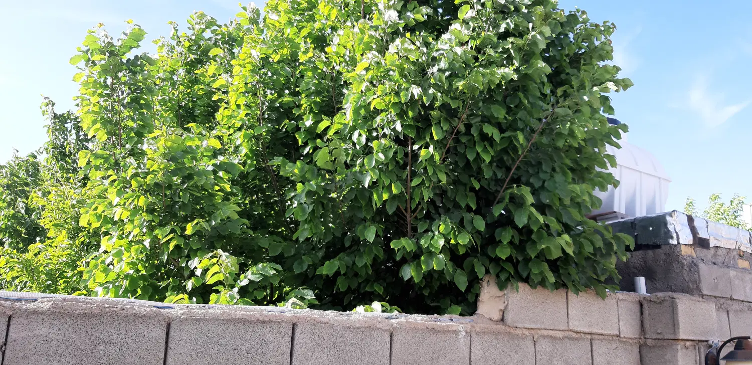 خانه دو طبقه
