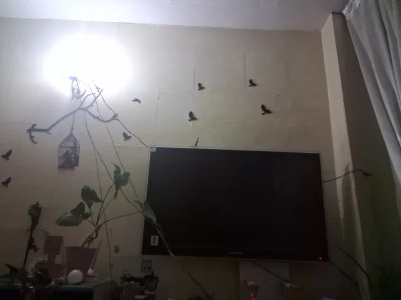 منزل برای اجاره