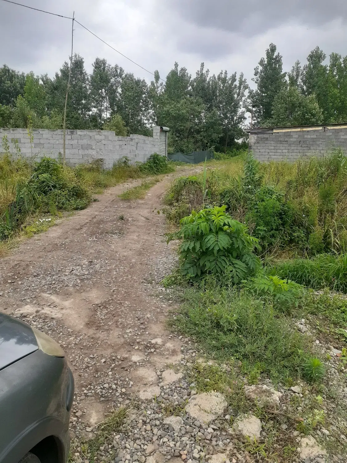 ۲۰۰مترزمین کوی حسینی نسق